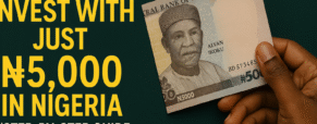 How to Invest with Just ₦5,000 in Nigeria (Step-by-Step Guide for Beginners)